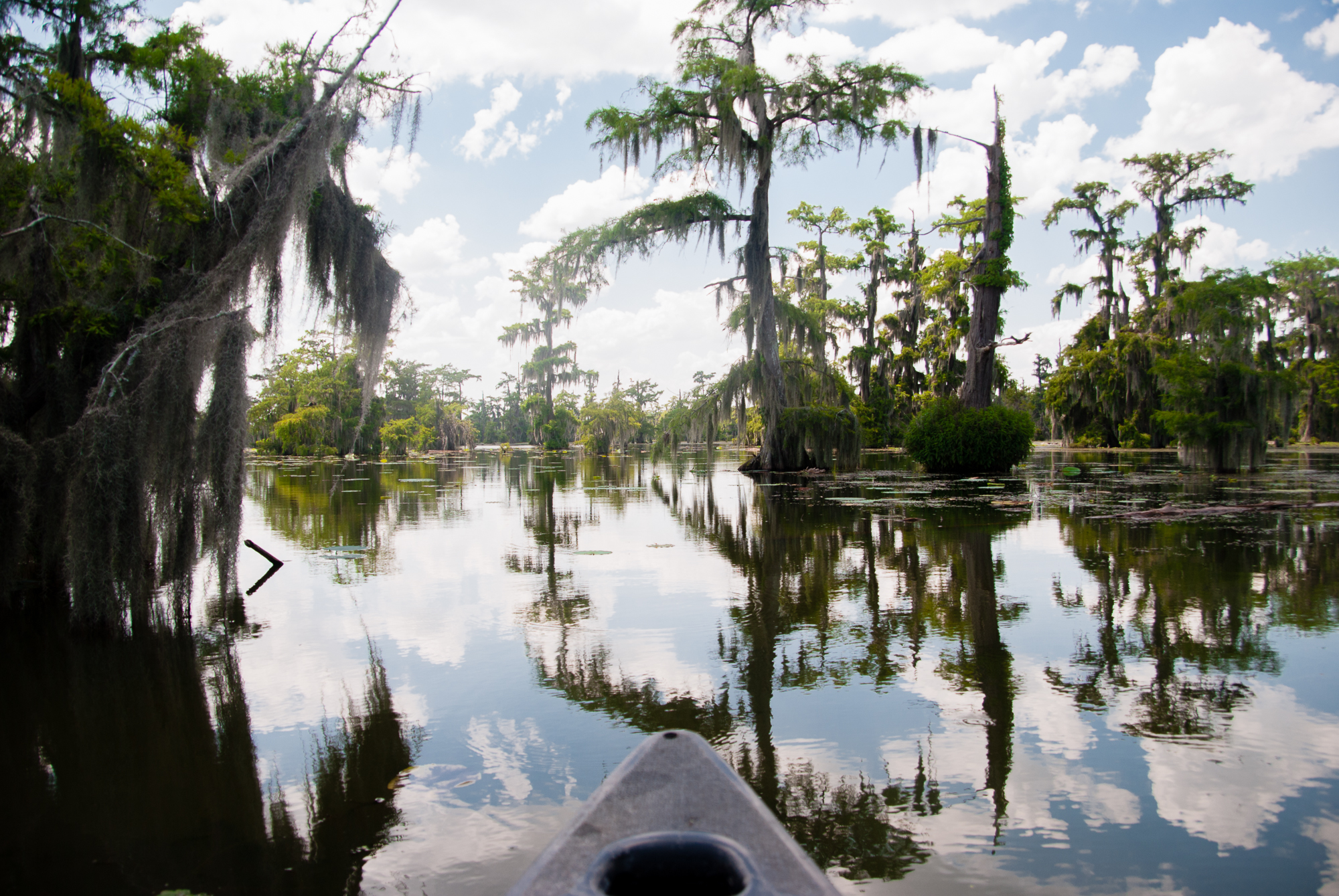 louisiana canoe-1