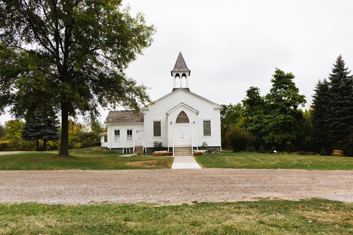 livonia wedding-1-2