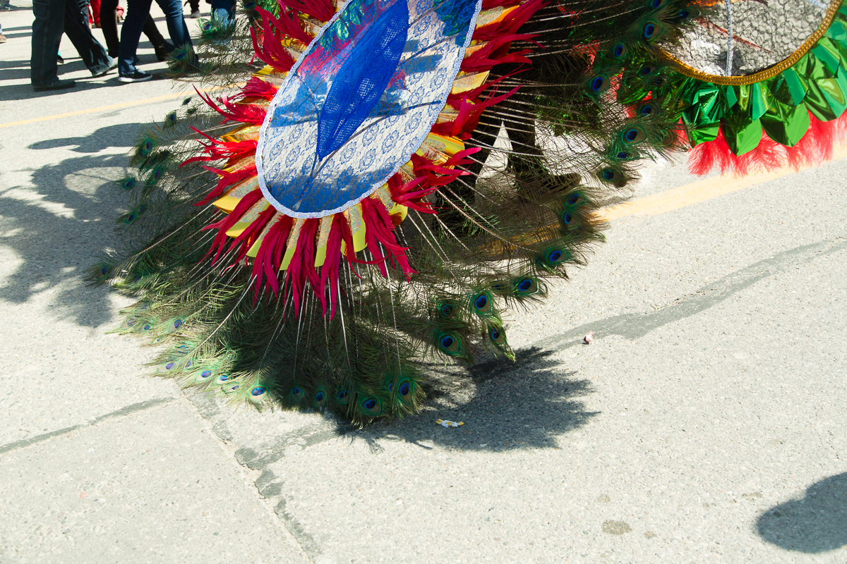 marche nain rouge mardi gras-1-2