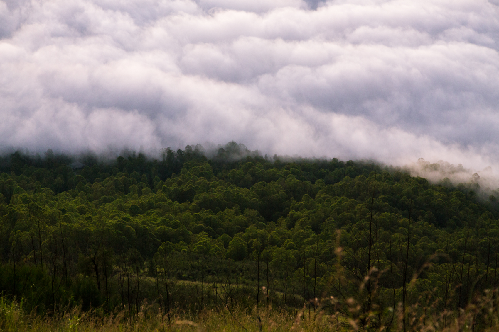 mt batur ubud-1